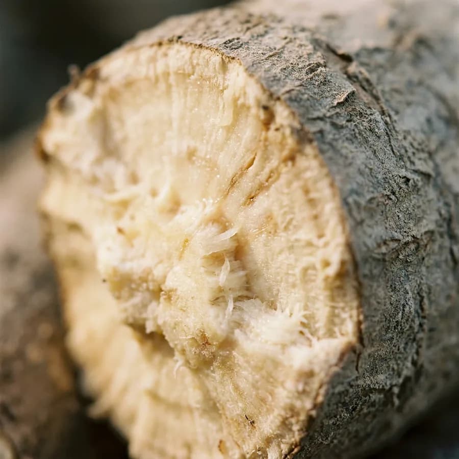 Wild yam botanical ingredient.